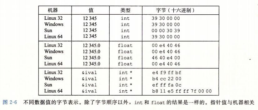 不同数据值的字节表示
