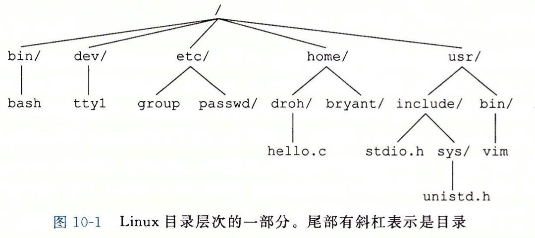 Linux 目录层次结构